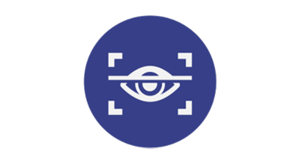 Oversight and Governance